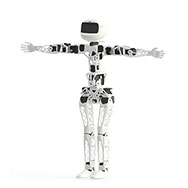 A standing Poppy Humanoid robot